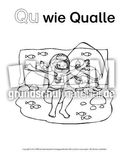 Qu-wie-Qualle-2.pdf
